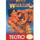 Tecmo World Wrestling Nintendo Nes