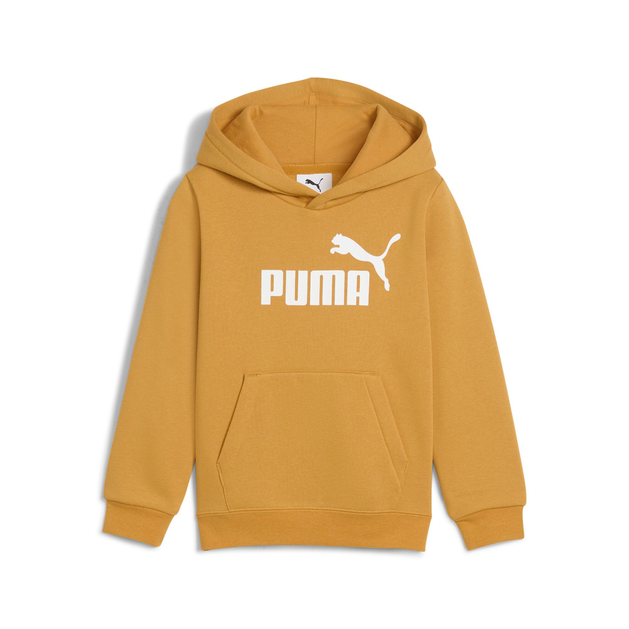 PUMA ESS No. 1 Logo Hoodie FL PS Sweats à Capuche Mixte Enfant PUMA 110 - vue 6