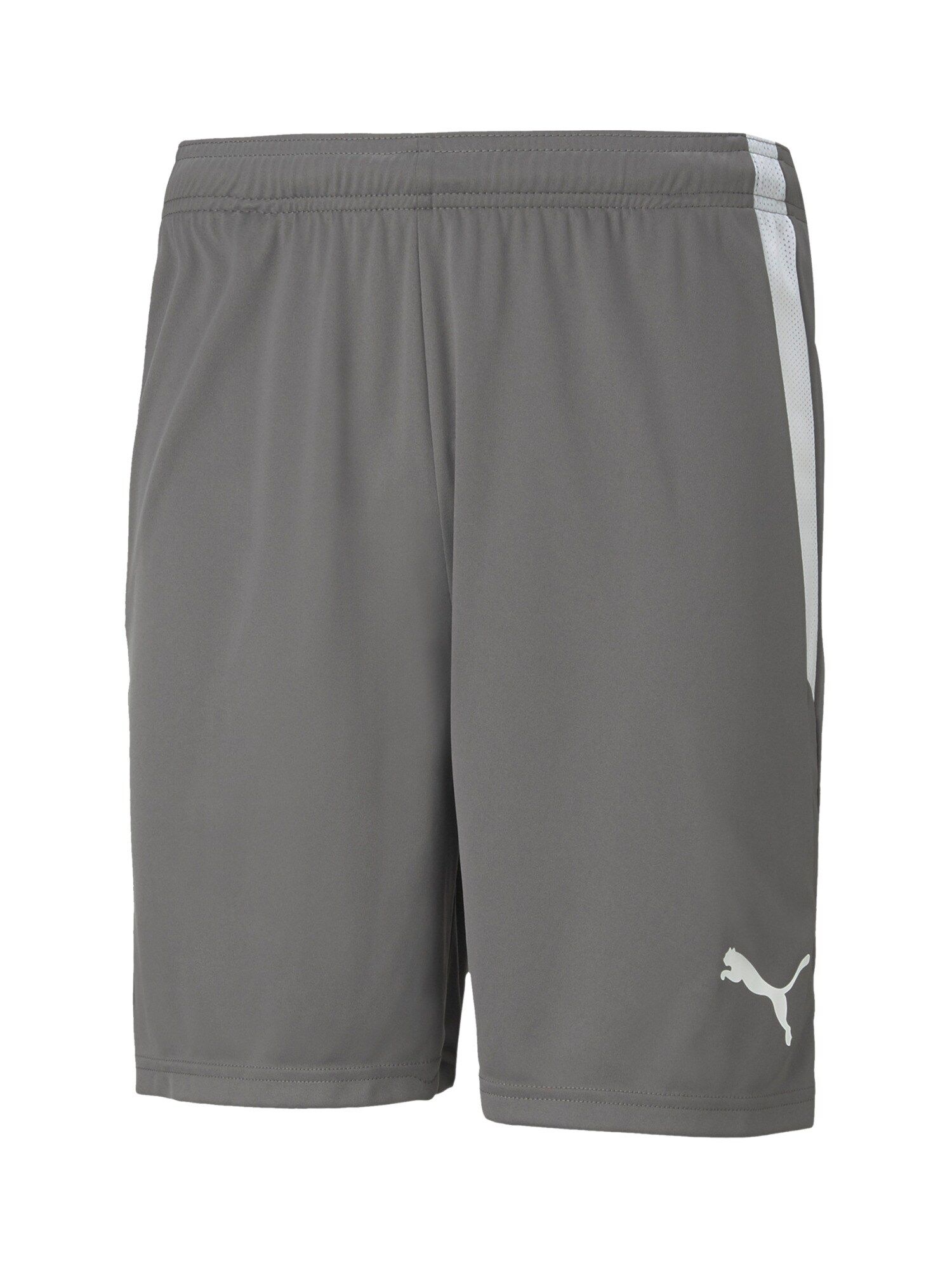 Short Puma Teamliga Shorts EU - vue 7