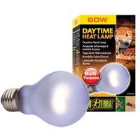 Comparer les prix de Lampe chauffante de jour de 60 puissances avec ampoule A19 de toute nouvelle qualité exo Terra Day-Glo