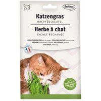 Comparer les prix de Bubimex Herbe pour chat - Sachet recharge 100g