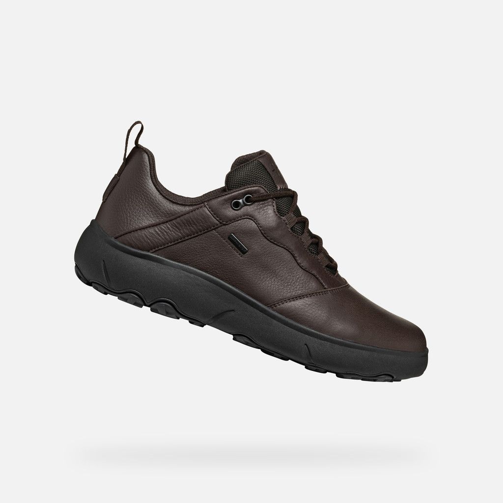 U Nebula + Grip B Ab - 41 U Nebula + Grip B Ab - 41