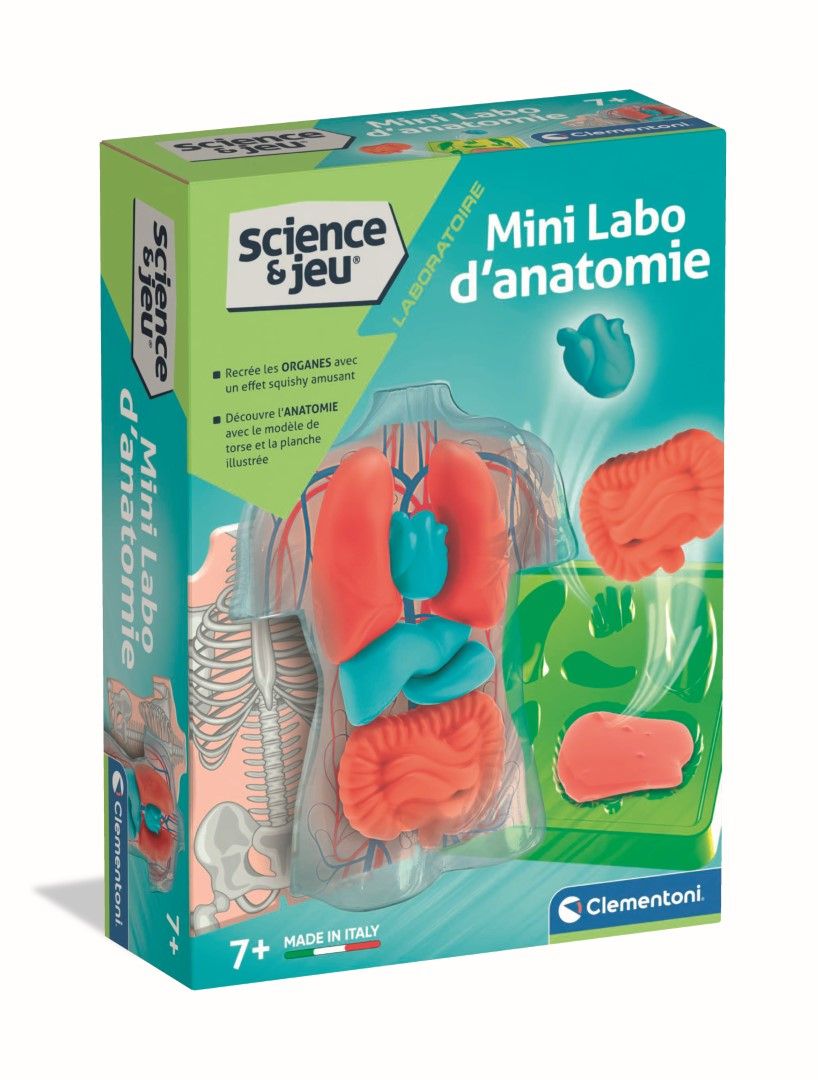 Clementoni Mini Labo d'anatomie