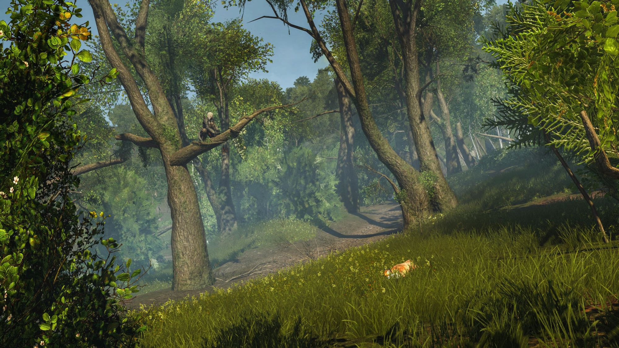 Sony Assassin' Creed Rogue HD - vue 8