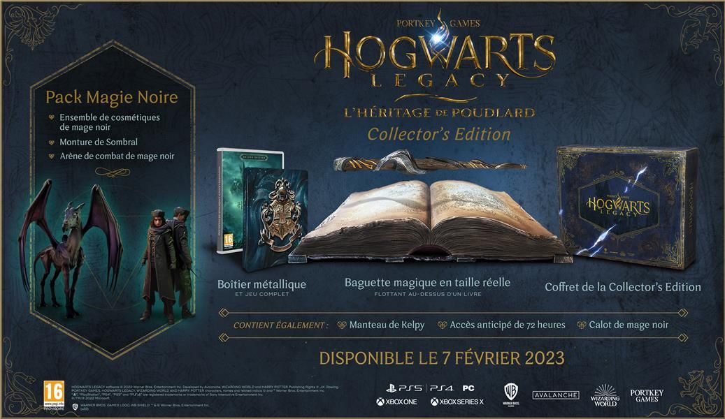 Hogwarts Legacy : 'héritage De Poudlard Collector' Edition Ps4