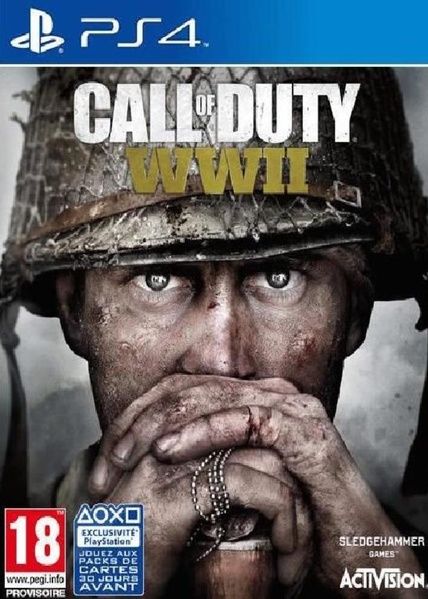 Call Of Duty Ww Ii Ps4 - vue 8