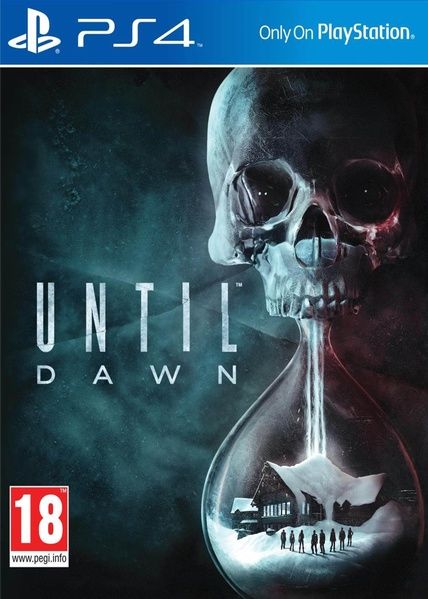 Until Dawn? - vue 5