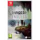 Dungeon Of The Endless + Porte-Clé + Artbook + 4 Dlc Switch