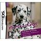 Nintendogs: Dalmatian Friends Nintendo Ds