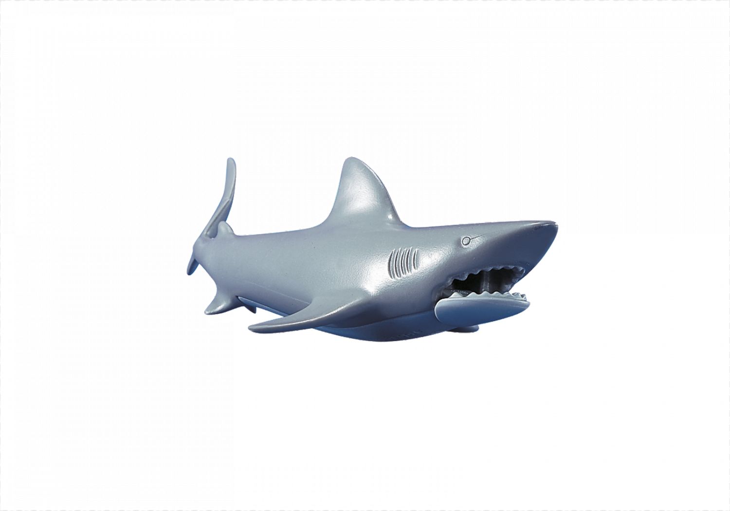 7006 Un Requin