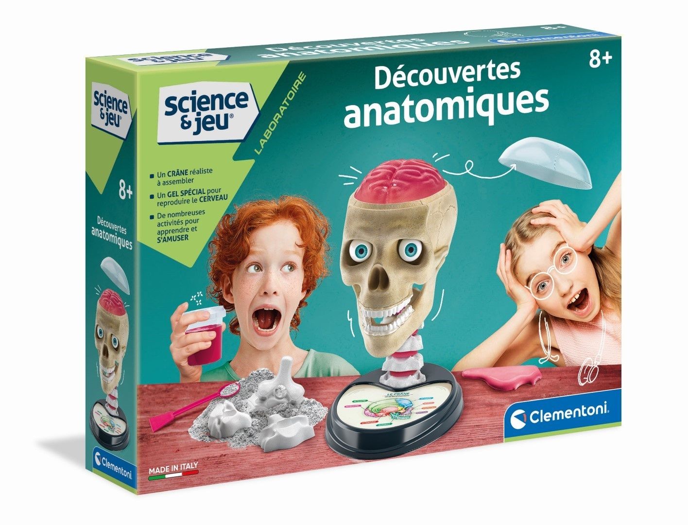 Clementoni Découvertes anatomiques - vue 7