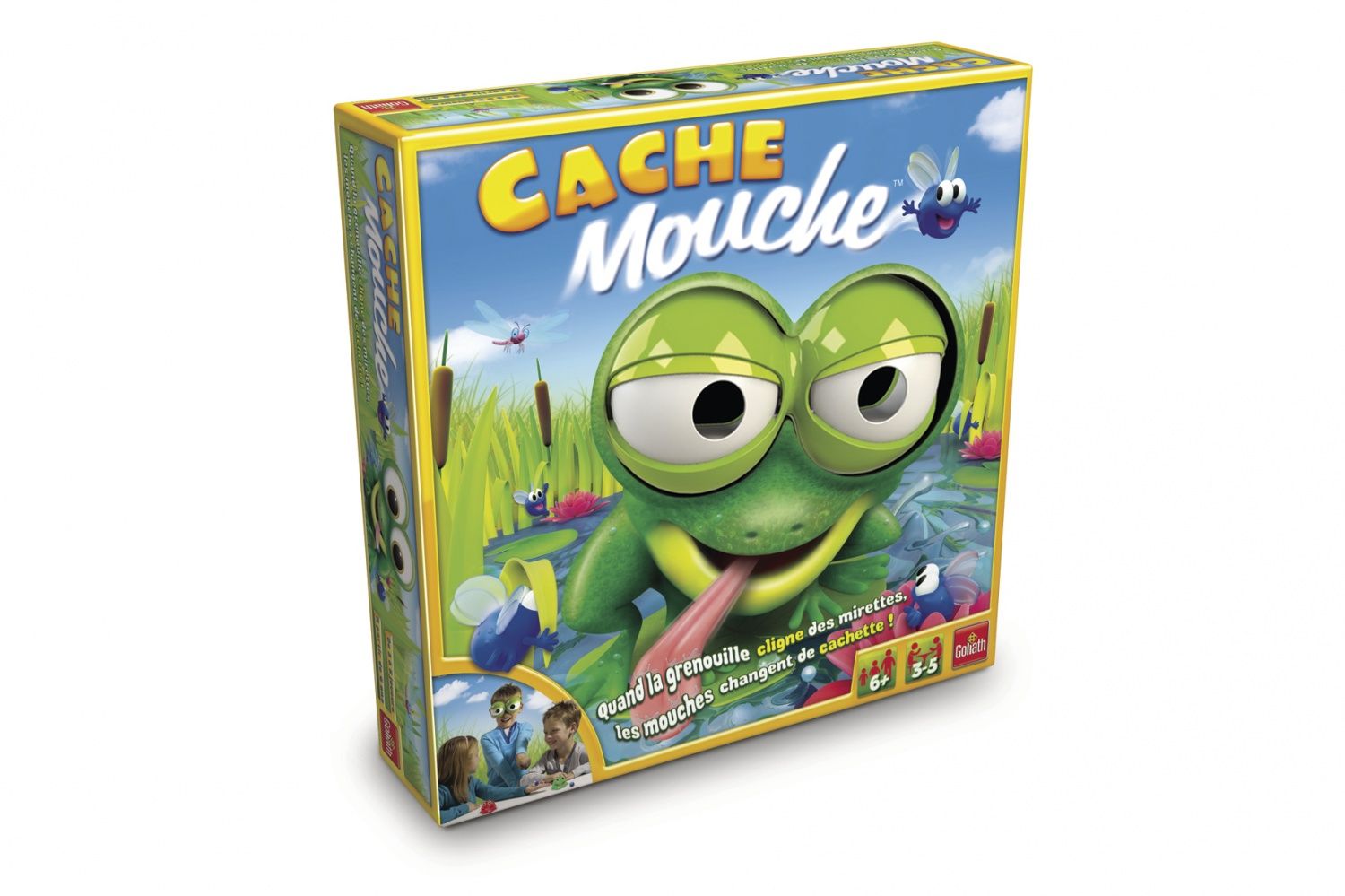 Goliath Cache Mouche