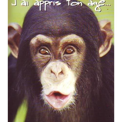 Anniversaire Singe J Ai Appris Ton Age Carte Postale A 2 Volets 19cm Par 15 Cm Rakuten