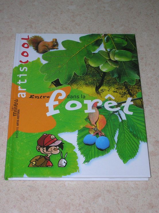 Entre dans la forêt