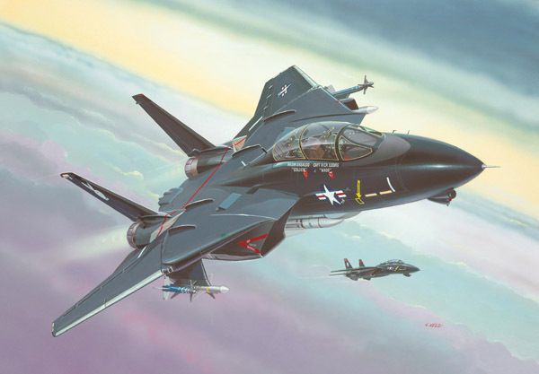 Maquettes F Tomcat Revell - vue 2