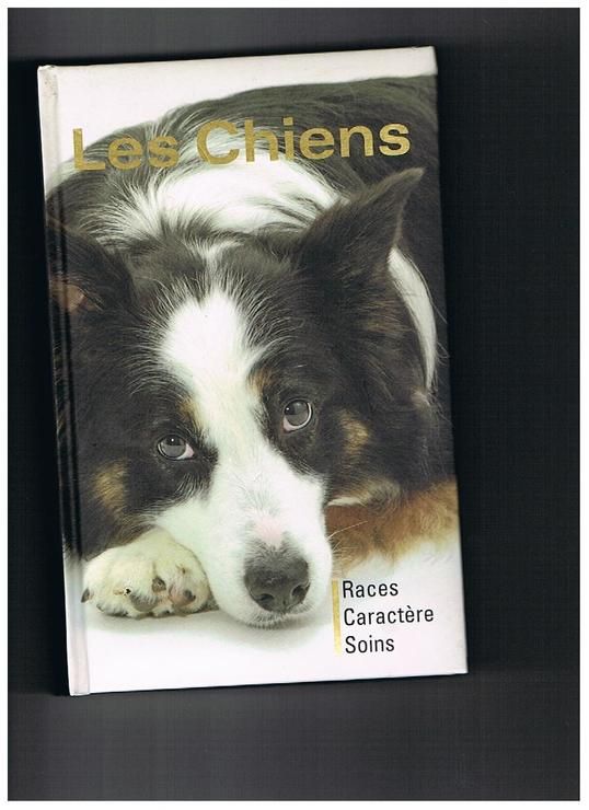 Hunde: Rassen, Erziehung, Pflege