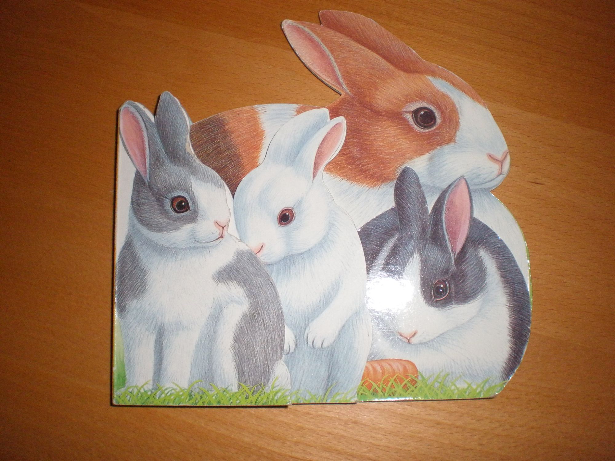 FAMILLES ANIMAUX CARTONNES