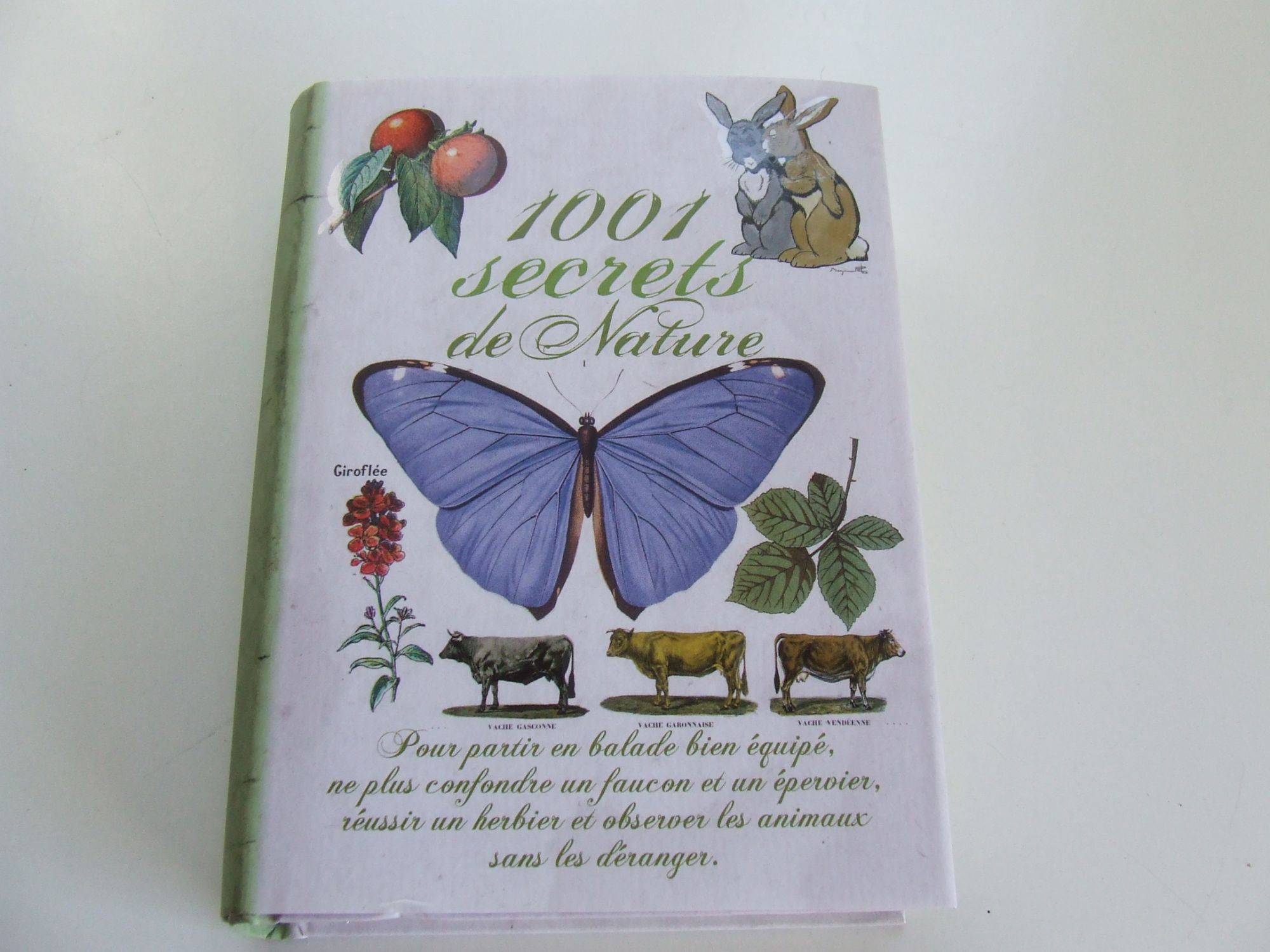 voir fiche du jeu 1001 secrets de nature