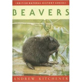 Beavers - Andrew Kitchener