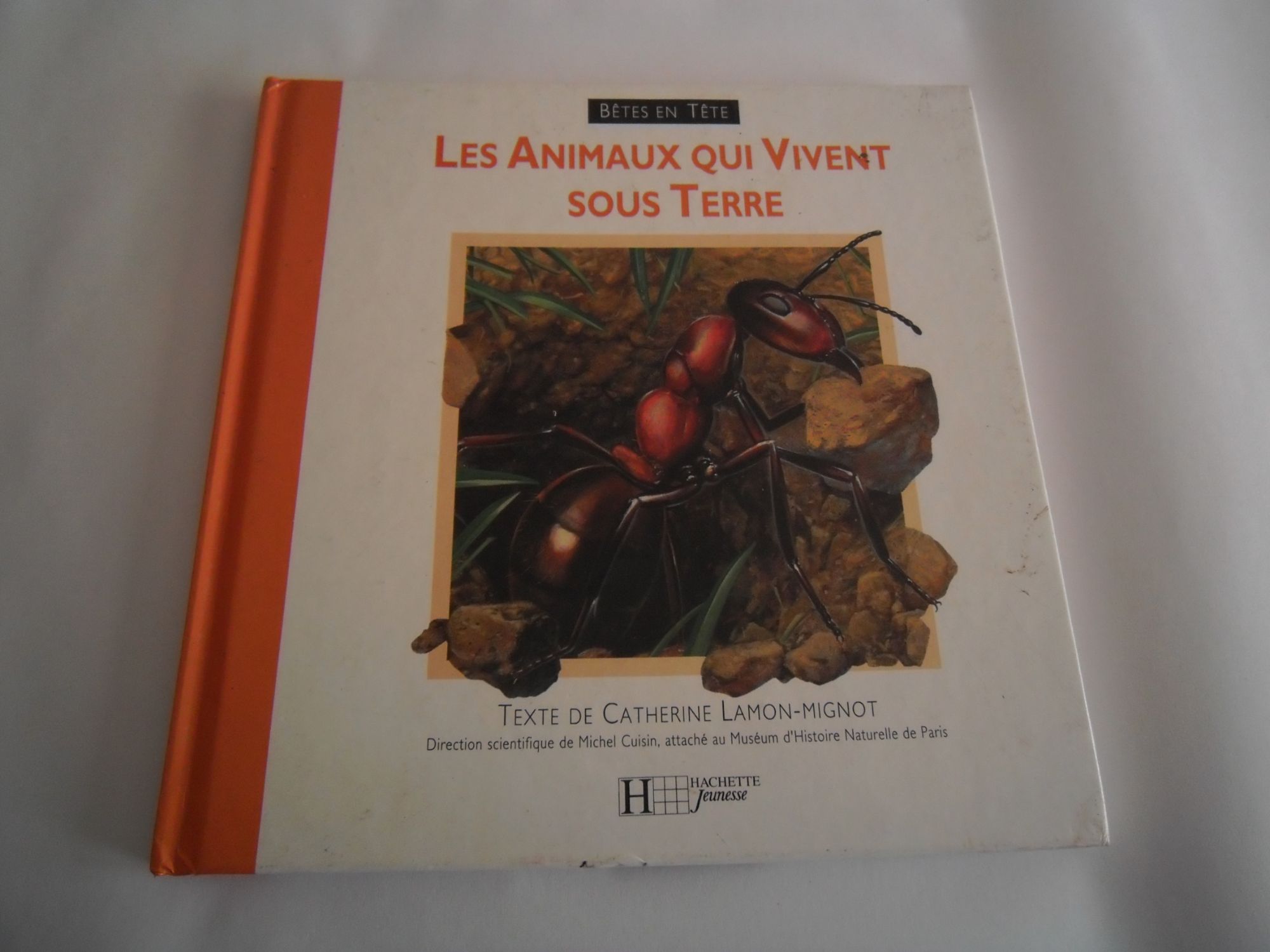 Les animaux qui vivent sous terre