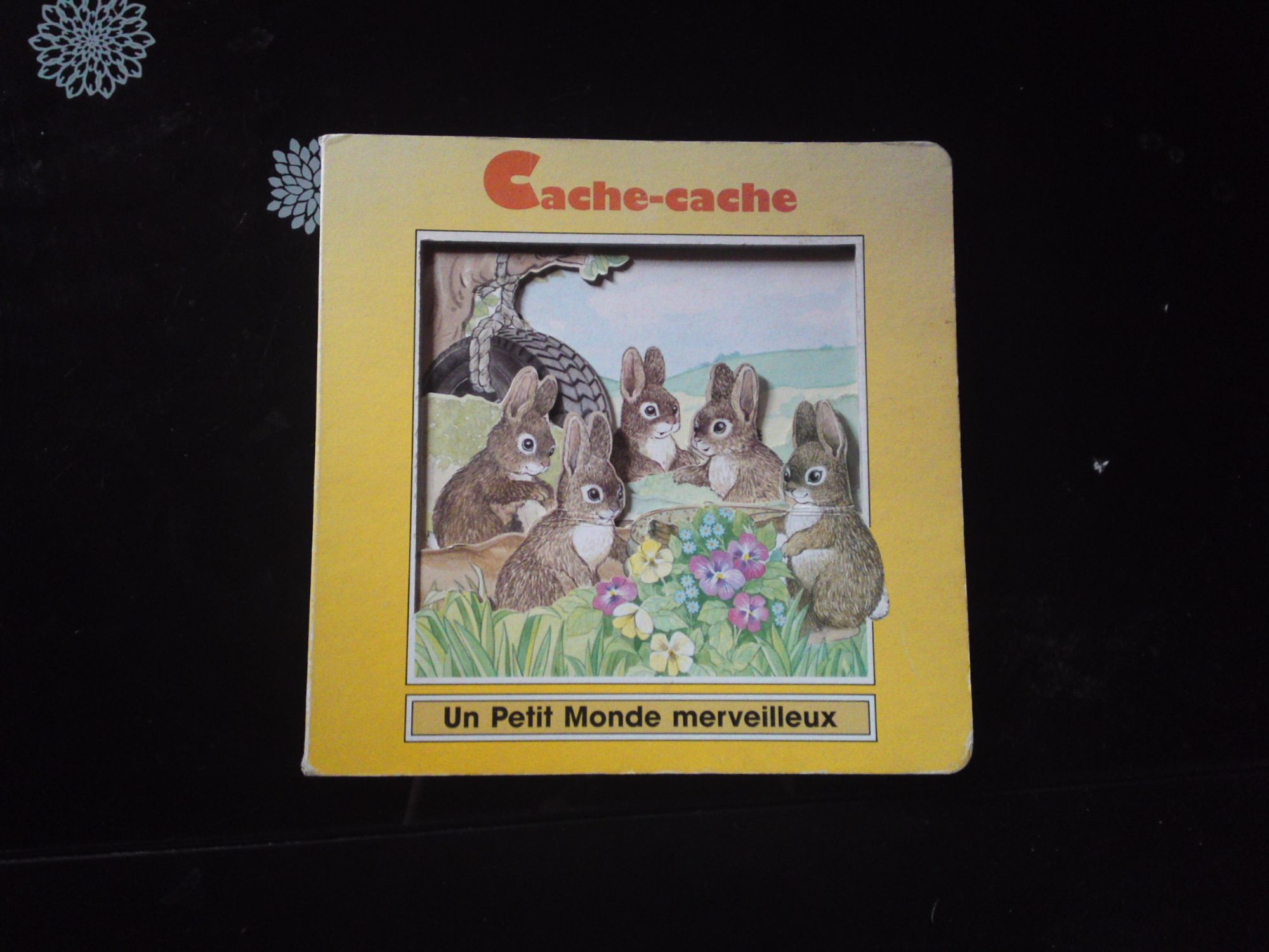 Cache-cache (Un petit monde merveilleux)