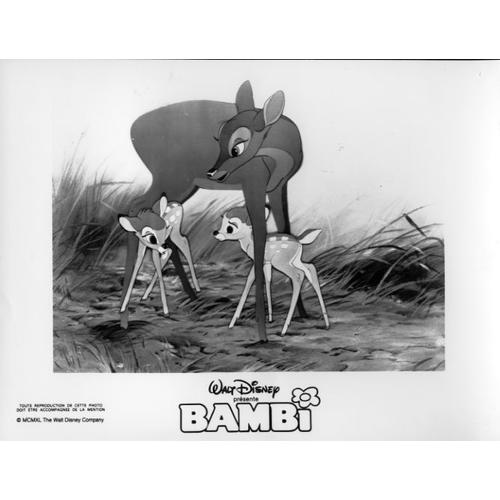 Bambi Walt Disney Photo De Presse Argentique Noir Et Blanc Format 20x30 Cm Rakuten