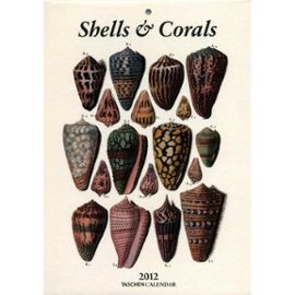 Taschen Shells and Corals  2012 weekly tear off calendar - Albertus Seba