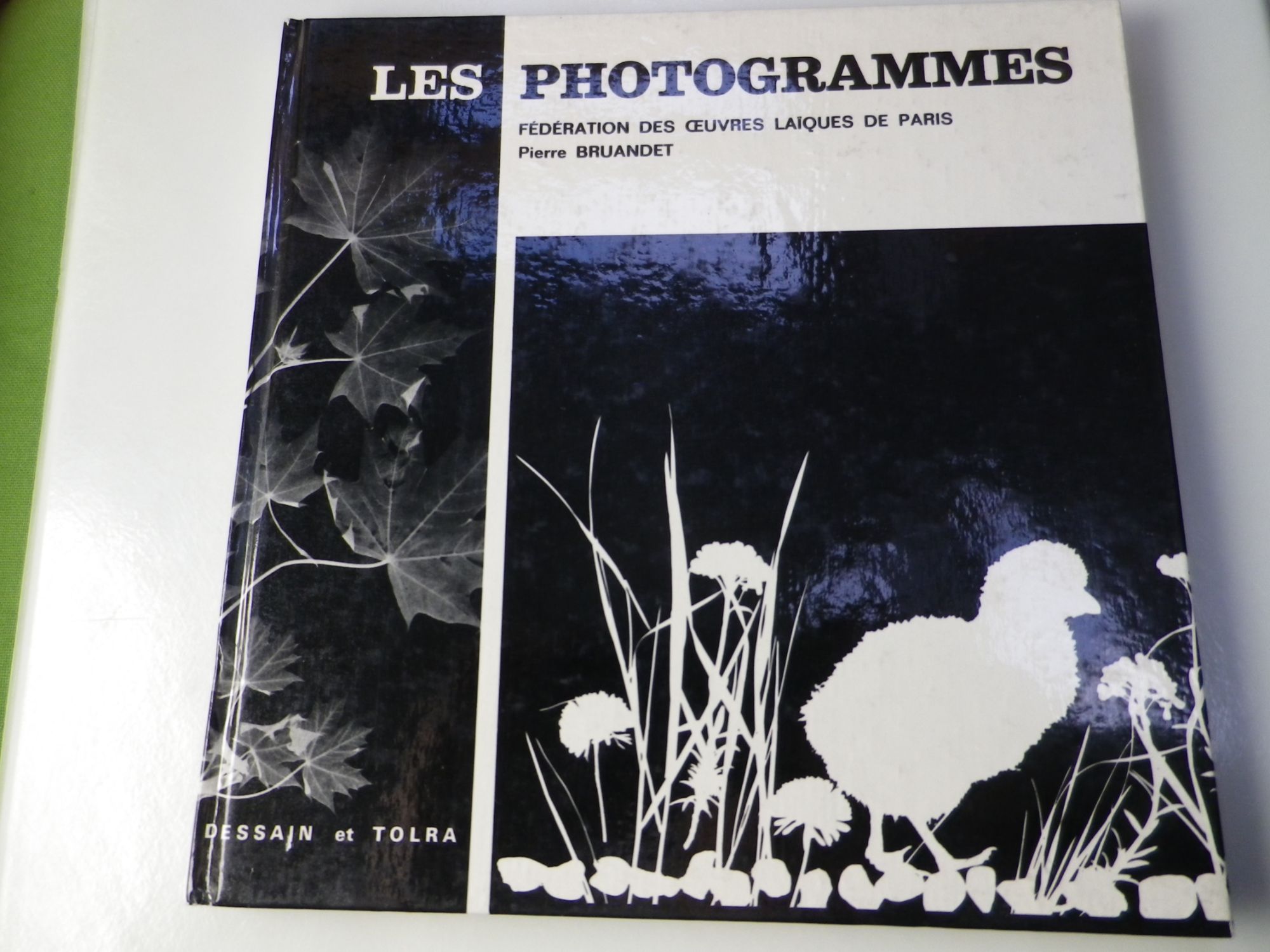 Les photogrammes