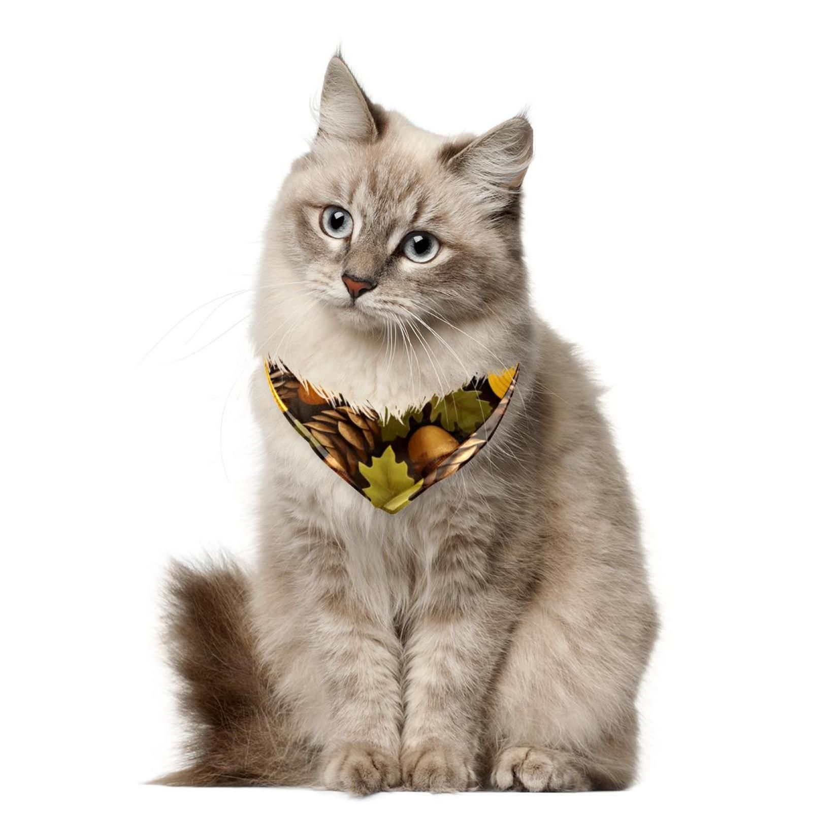 Lot De 2 Écharpes Tendance Pour Animaux De Compagnie, Motif Unique Pour Thanksgiving. 182
