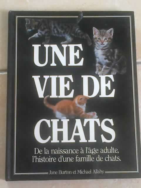 Une Vie De Chats De La Naissance A L Age Adulte L Histoire D Une Famille De Chats Rakuten