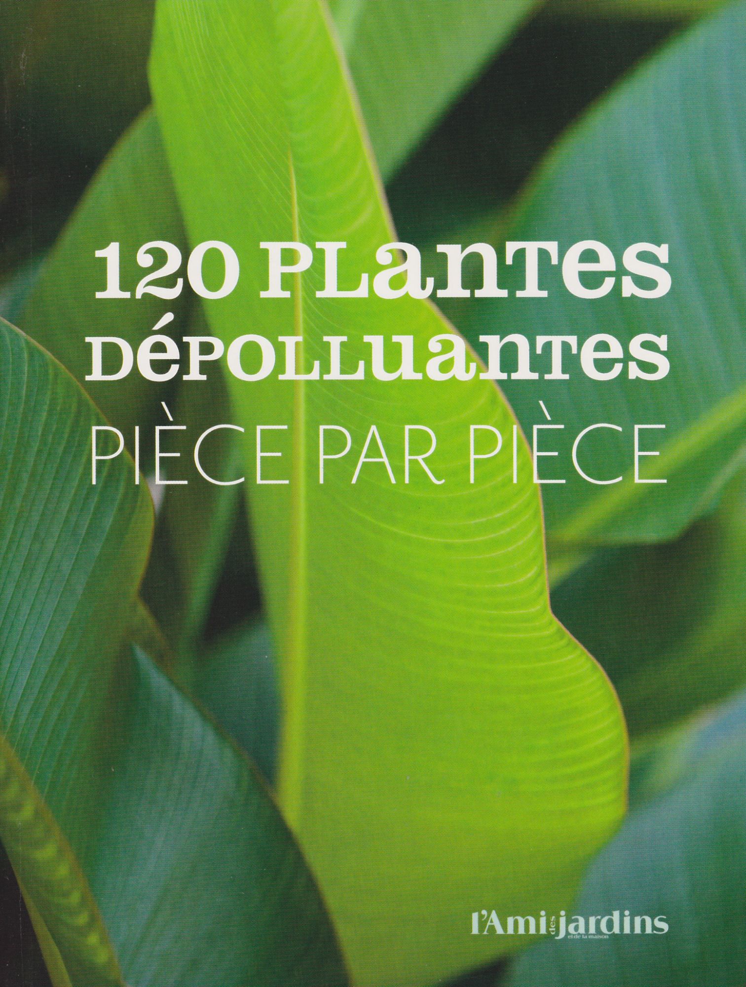 120 plantes dépolluantes pièce par pièce