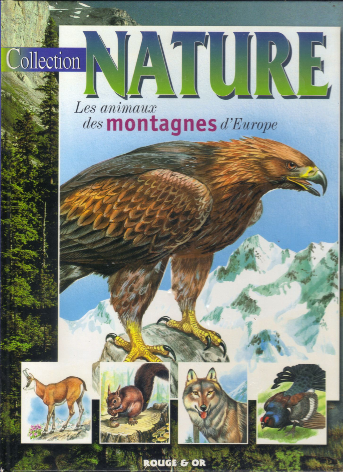 <a href="/node/12349">Les animaux des montagnes d'Europe</a>