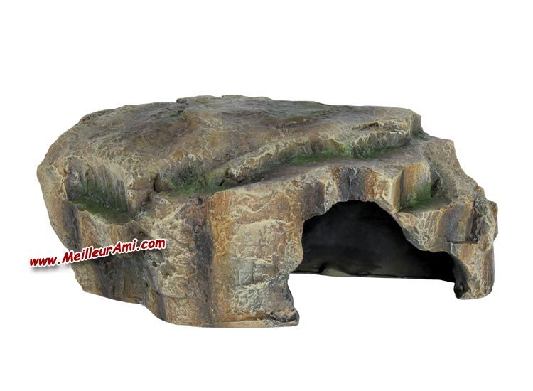 Grotte Pour Reptile Foret Tropicale T1