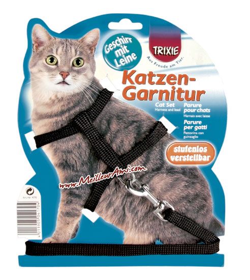 Parure Chat Harnais Et Laisse Nylon