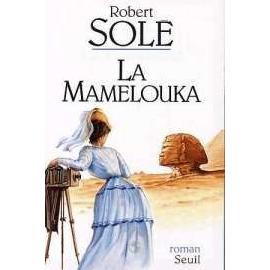 solex cadre d'occasion solex cadre d'occasion France