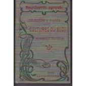 Cultures Du Midi De Lalgérie Et De La Tunisie Introduction Par Le Dr P Regnard Avec Figures Intercalées Dans Le Texte - 