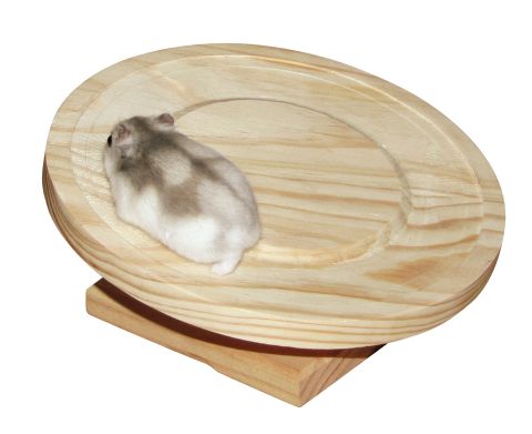 Meilleurs prix pour Disque De Course Pour Hamster Ø 20 Cm