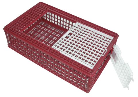 Cage De Transport Plastique Avec Porte Frontale Et Couli.