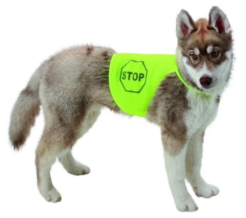 Gilet De Sécurité Pour Chien Long. Dos 45 Cm, 58-68 Cm