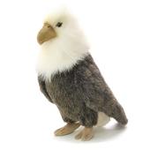 peluche aigle royal