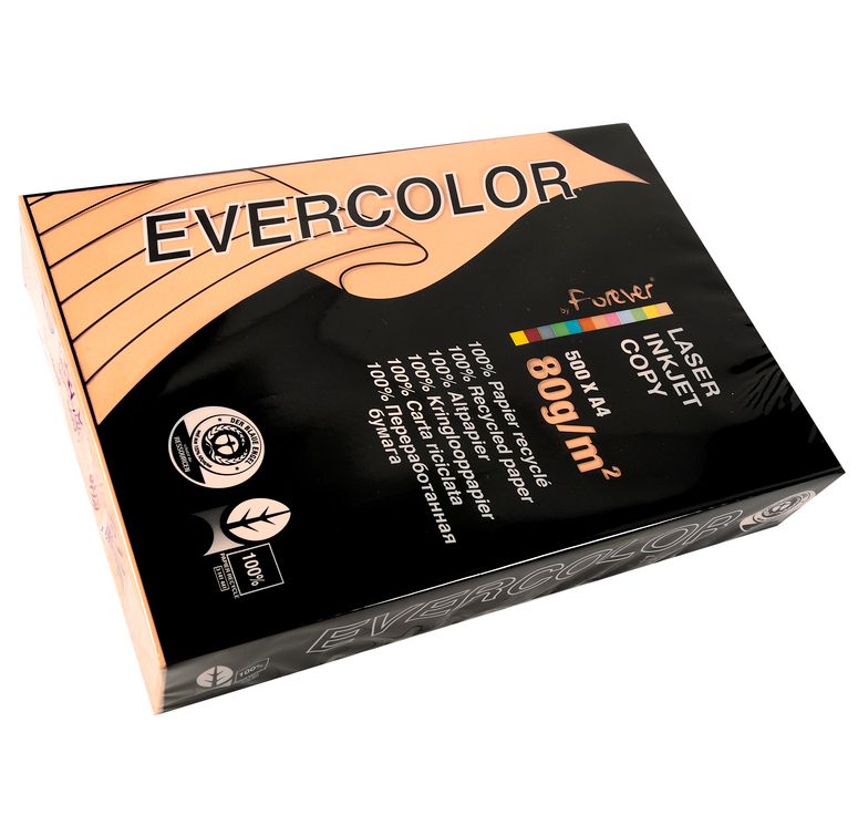 Clairefontaine Lot de 5 Ramettes 500 Feuilles Papier A4 210x297 mm Certifié Ange