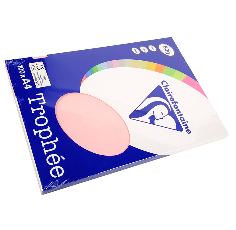 Clairefontaine Lot de 10 Ramettes 100 Feuilles Papier A4 210x297 mm Certifié FSC - vue 2