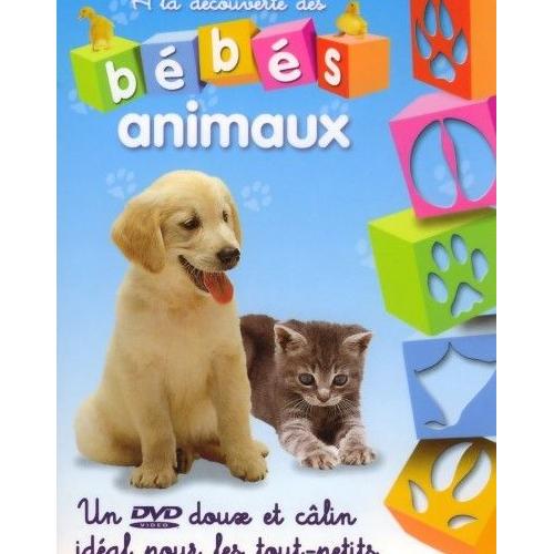 à La Découverte Des Bébés Animaux Dvd Zone 2 Rakuten