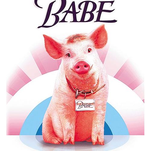 Babe le promo cochon