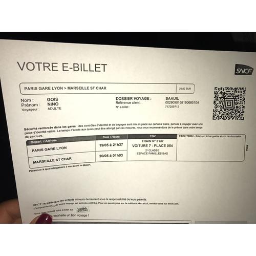 Billet De Trains Pas Chers Billet de train pas cher ou d'occasion sur Rakuten