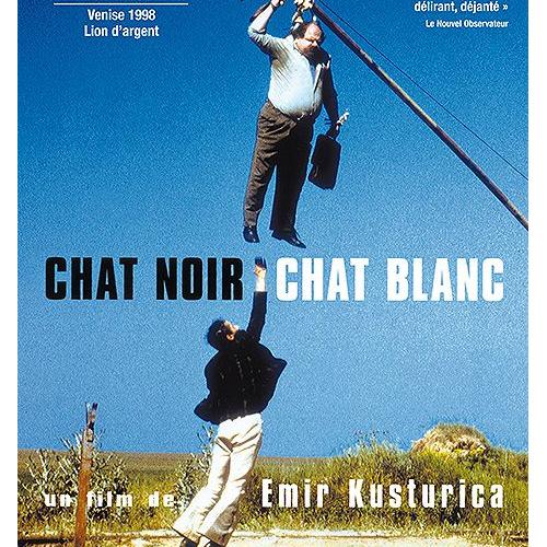 Chat Noir Chat Blanc