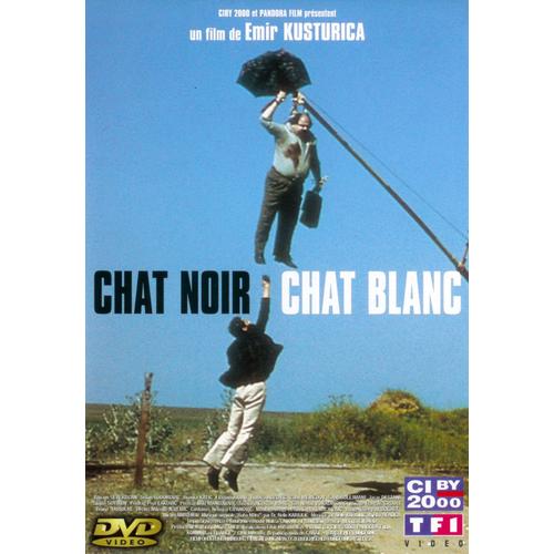 Chat Noir Chat Blanc