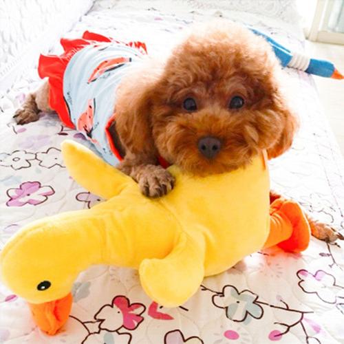 peluche pour chien tres resistant