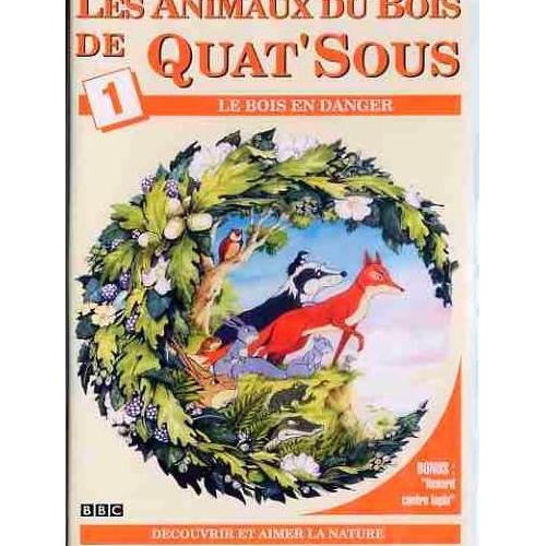 Les Animaux Du Bois De Quatsous Le Bois En Danger