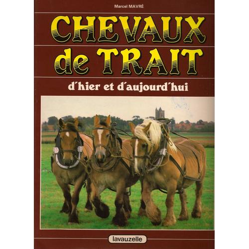 Chevaux De Trait Dhier Et Daujourdhui - 